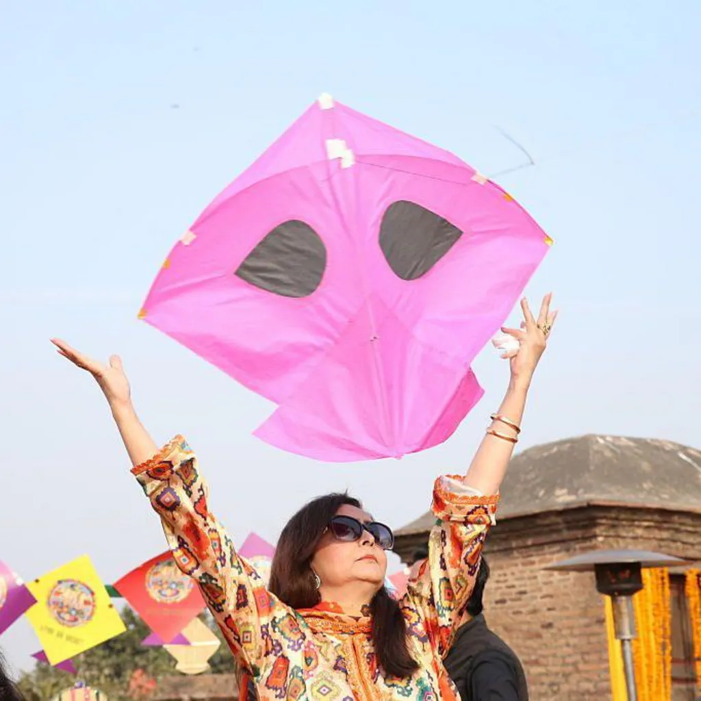 Kites in the sky