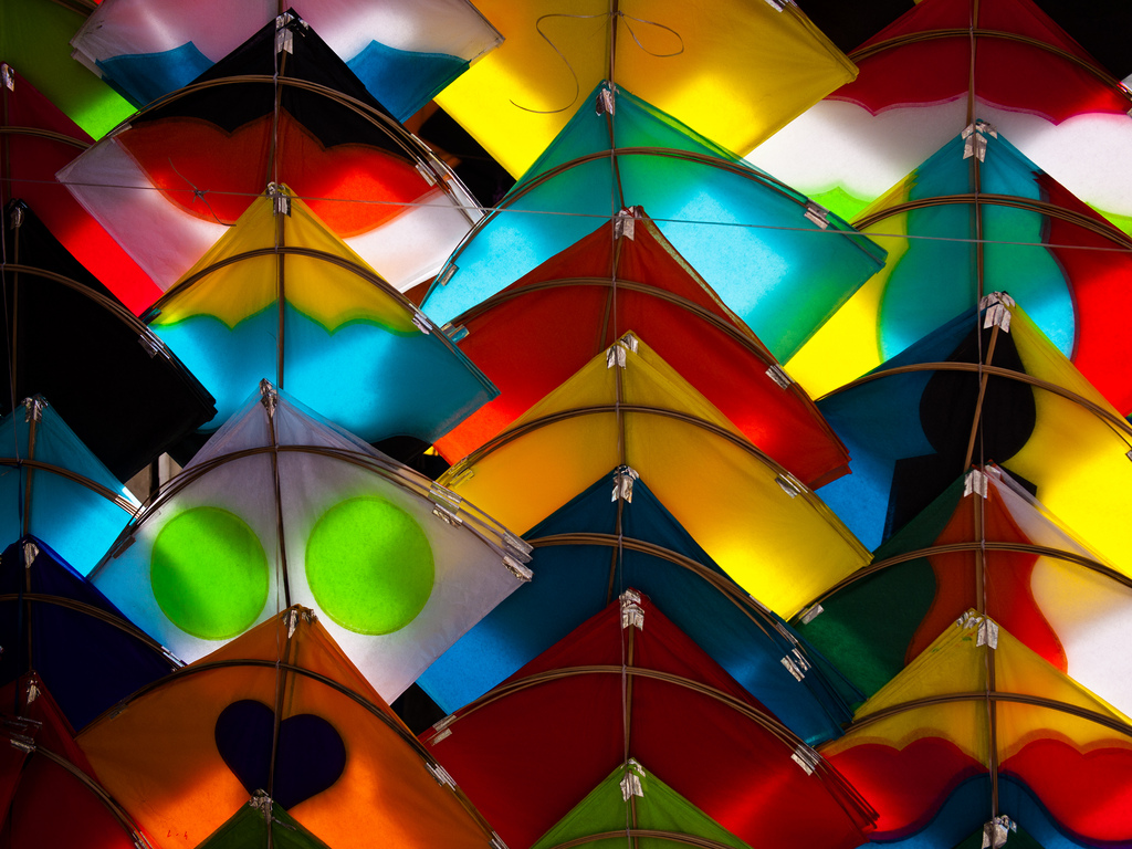 Kite flying at the festival